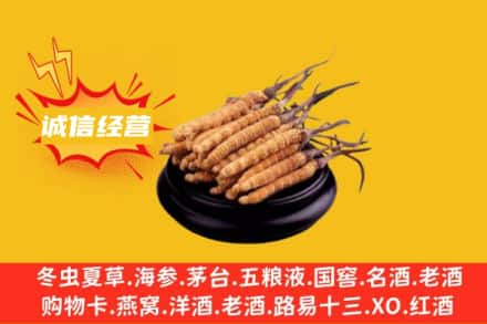察隅县回收冬虫夏草
